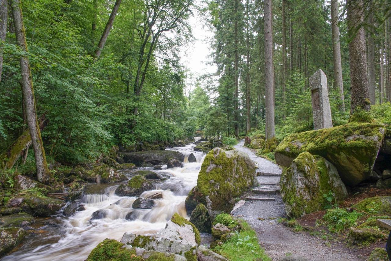 Ferienhaus Nordic Harmony Waldkirchen Ngoại thất bức ảnh